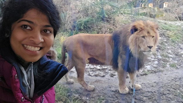 Balasubramanian Lion