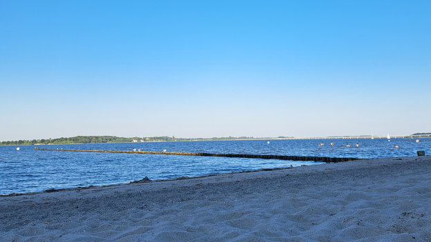 Gawron Stralsund