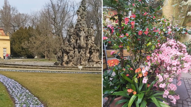 Nursimulu Bot Garden