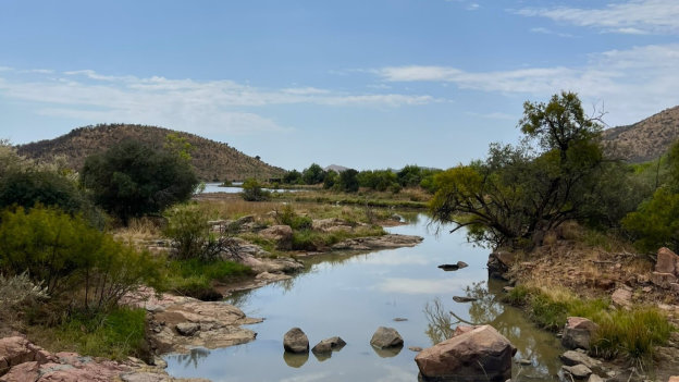 Hüsken Pilanesberg