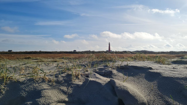 Witt Schiermonnikoog