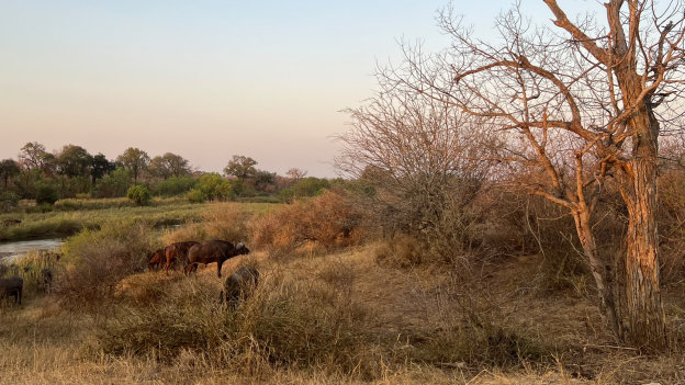 Hüsken Kruger NP