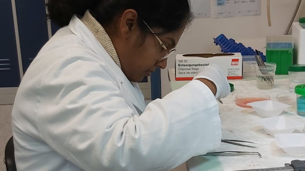 Nursimulu Lab